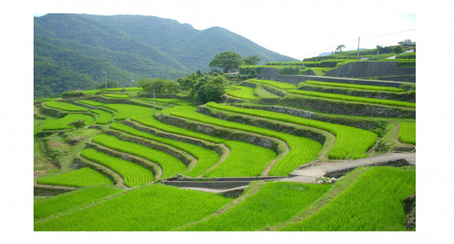 lozano maths lurçat japon cultureterrasse-1.jpg