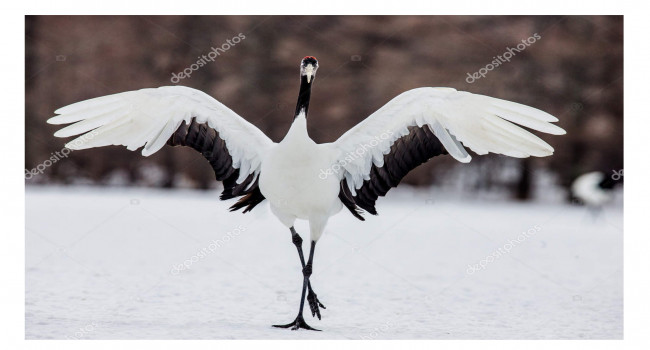 lozano maths lurçat japon grue-1.jpg